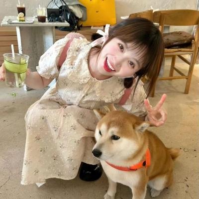 萨赫之恋